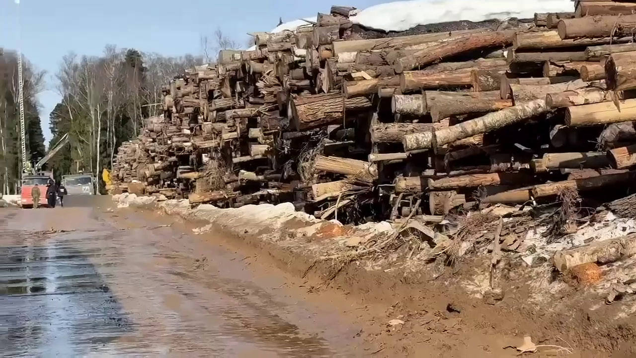 Первый Заместитель Профсоюза принял участие в масштабной гуманитарной акции по обеспечению лесоматериалами подразделения ВС РФ