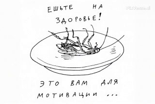 Слабонервным просьба не смотреть и не читать! Закручивать гайки ради прибыли - это классика.