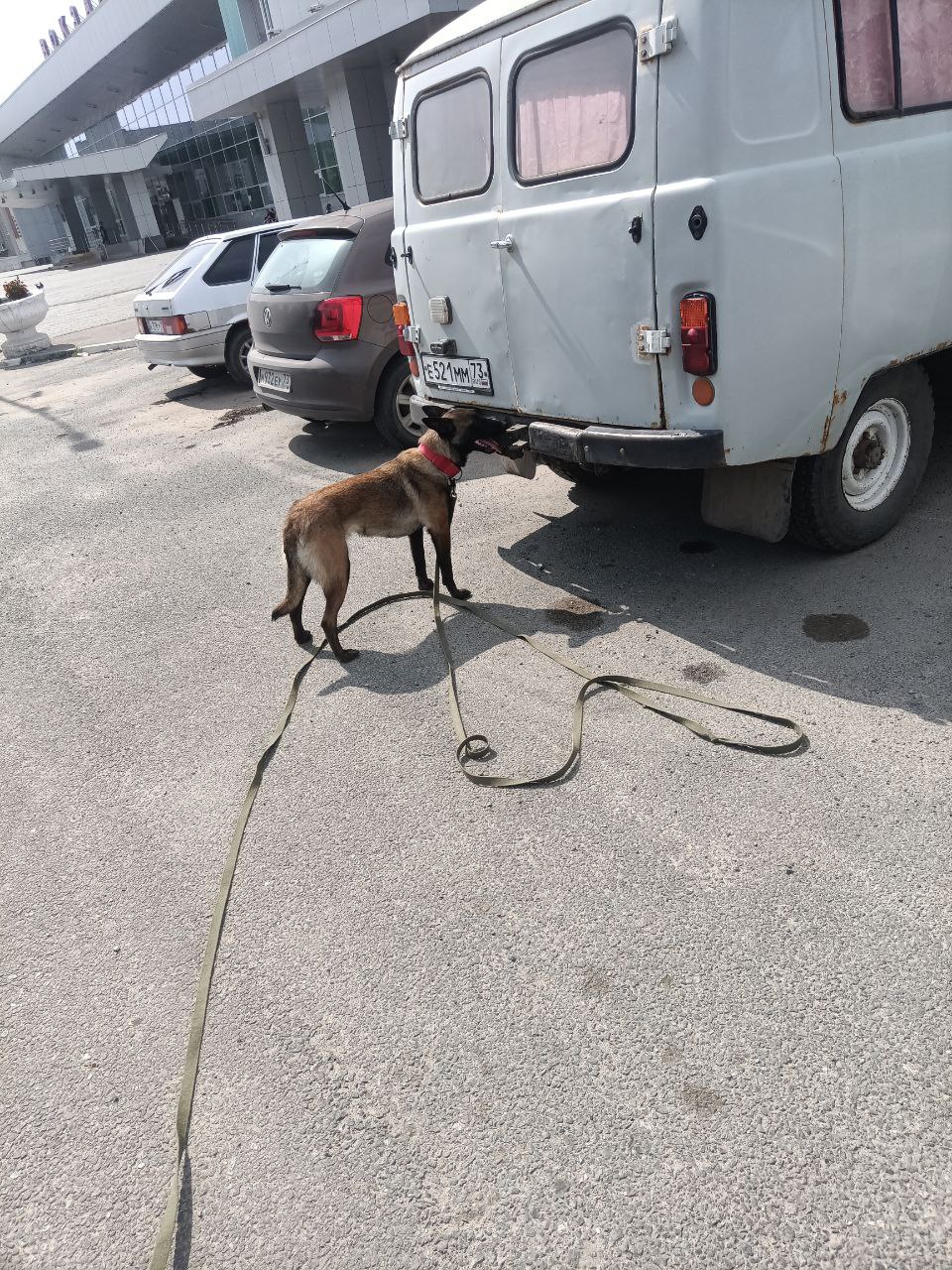 Член Профсоюза и его напарница впервые провели тренировку по осмотру машины!