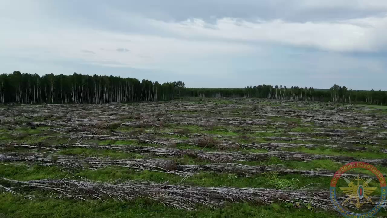 Активная работа в рамках совместной гуманитарной акции по обеспечению лесоматериалов бойцов ВС РФ - продолжается!
