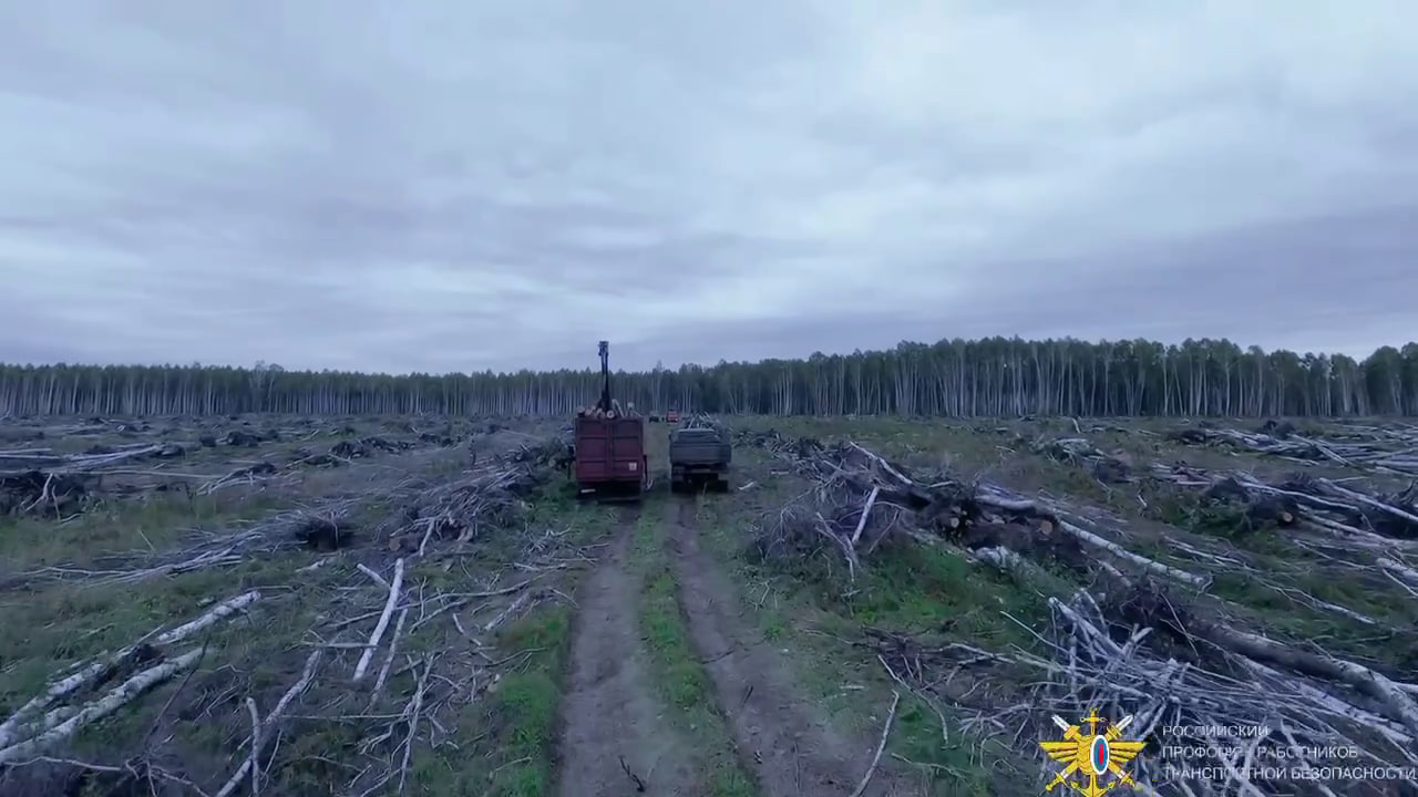 Гуманитарная акция по обеспечению лесоматериалом подразделения Министерства Обороны - передано свыше 2600 куб.м.!