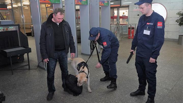 Минтранс России утвердит порядок и требования к аккредитации юрлиц в качестве ПТБ.