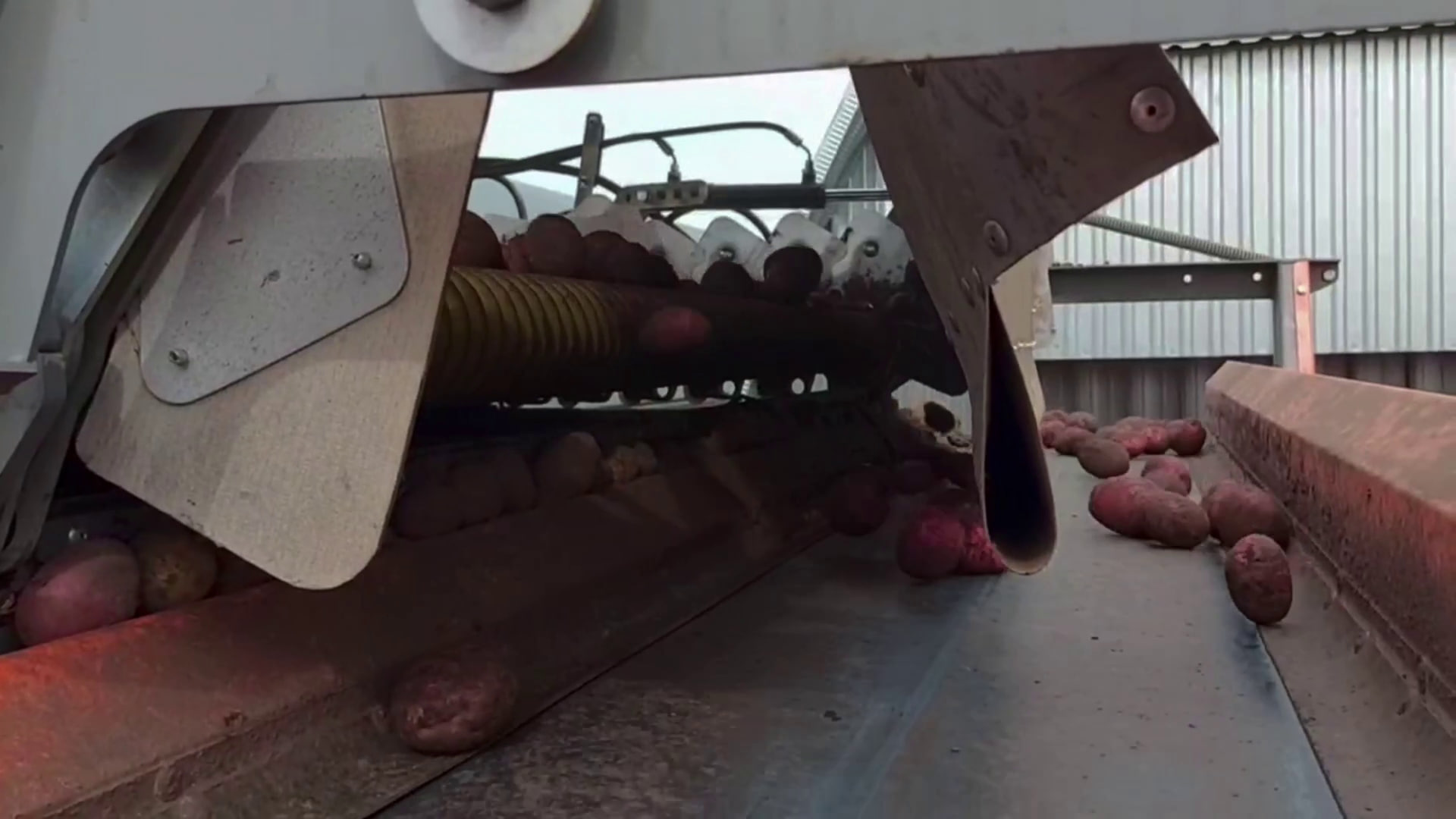 Направили в зону СВО 16 тонн картофеля!