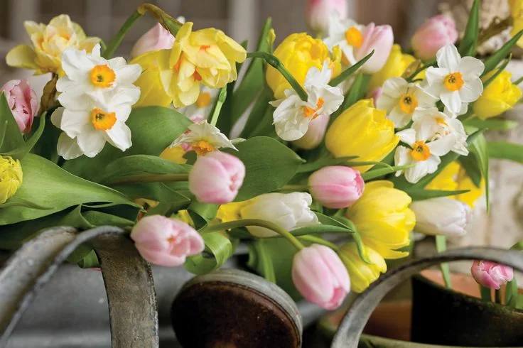 С Международным Женским Днем!