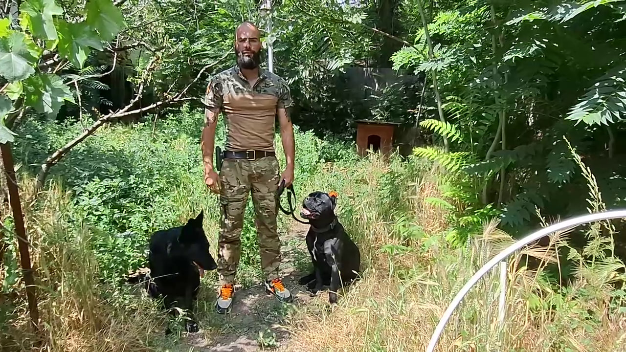 С Днем кинологической службы!