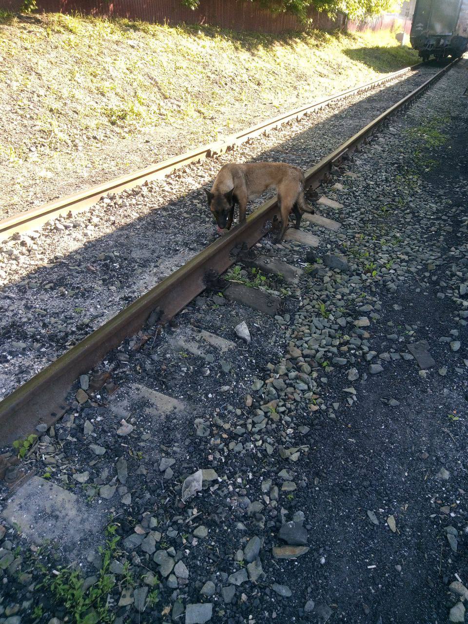В Ульяновске прошли учебно-тренировочные занятия