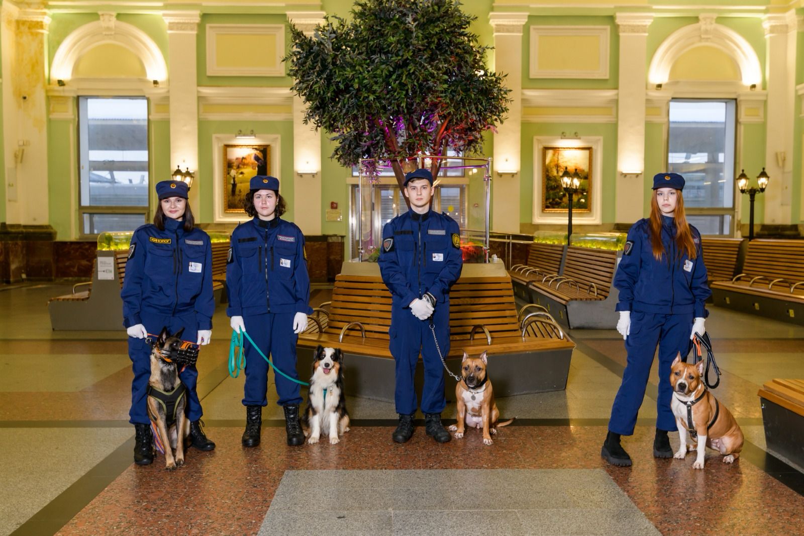 Кинологическая служба на Курском вокзале