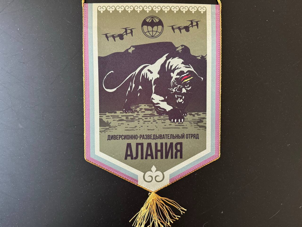 Вымпел Профсоюзу от отряда «Алания»