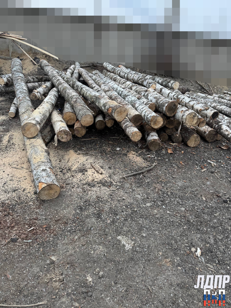 Профсоюз совместно вместе с партнерами продолжает реализацию проекта «Лес»