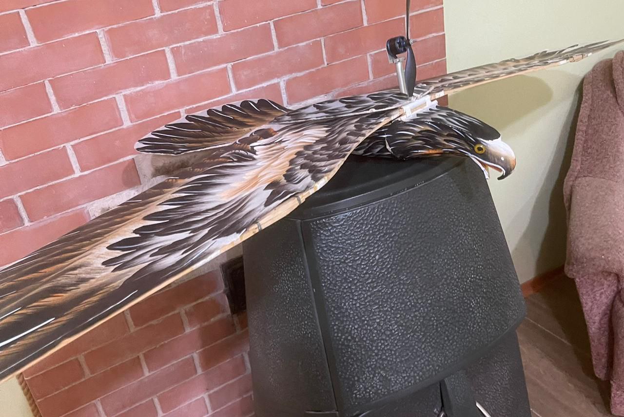 На заметку работникам транспортной безопасности (из командировок в СВО).